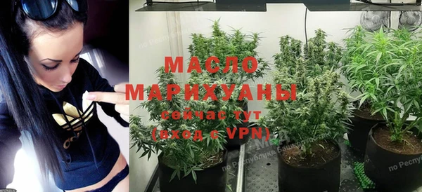 мдпв Михайлов