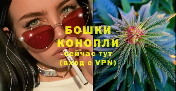 сатива Михайловск